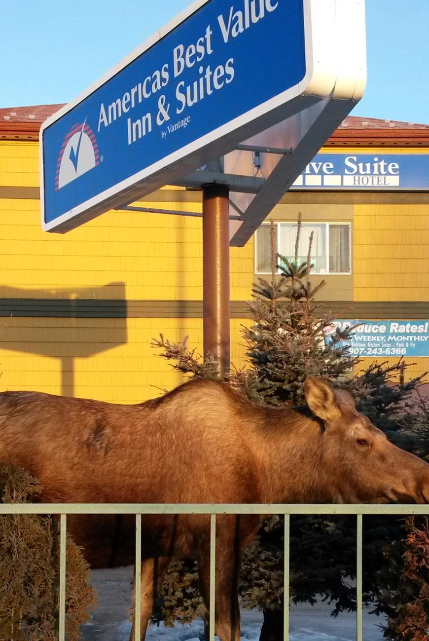 Americas Best Value Inn & Suites Anchorage Airport Екстер'єр фото